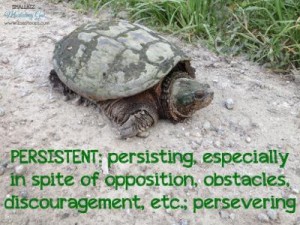 Persistence